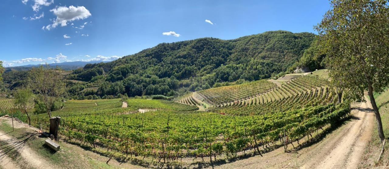 Spigno Monferrato Cascina Bertolotto Wine Resort מראה חיצוני תמונה