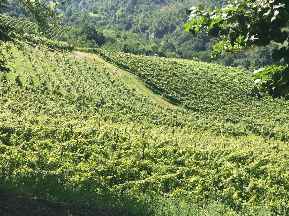 Spigno Monferrato Cascina Bertolotto Wine Resort מראה חיצוני תמונה