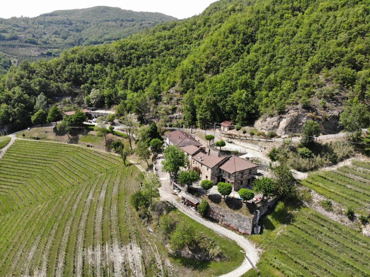 Spigno Monferrato Cascina Bertolotto Wine Resort מראה חיצוני תמונה