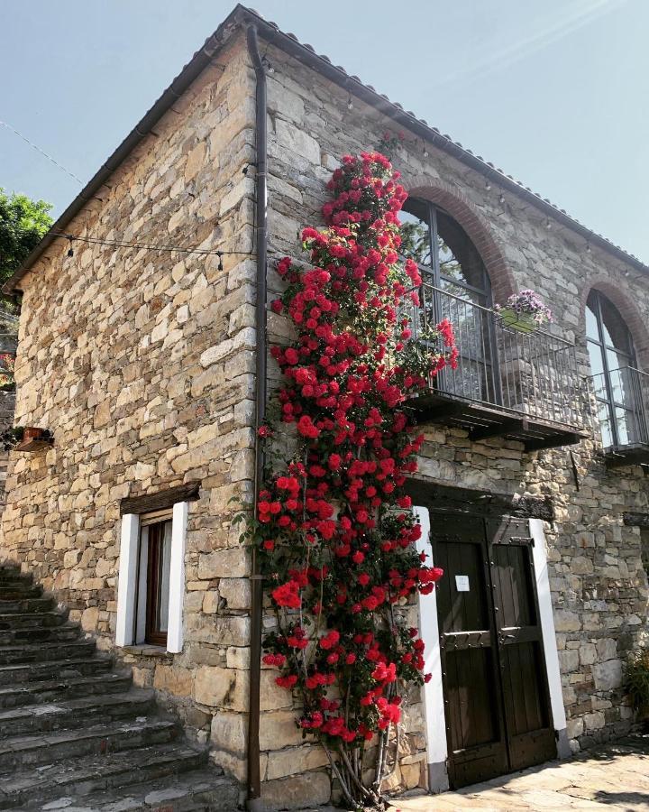 Spigno Monferrato Cascina Bertolotto Wine Resort מראה חיצוני תמונה